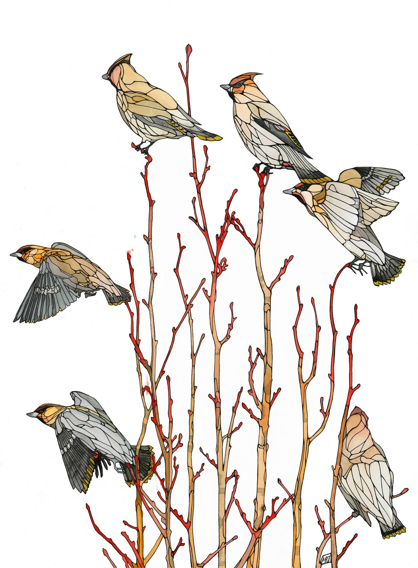 Waxwing Card