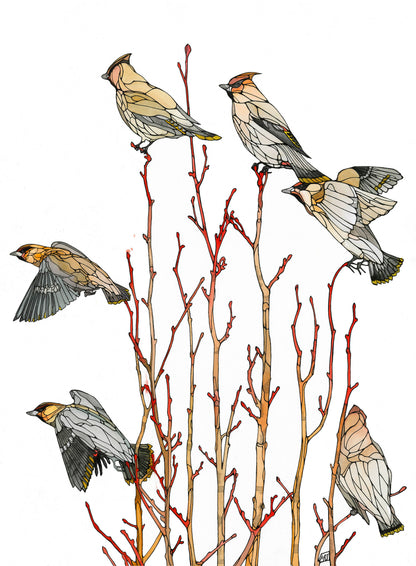 Waxwing Card