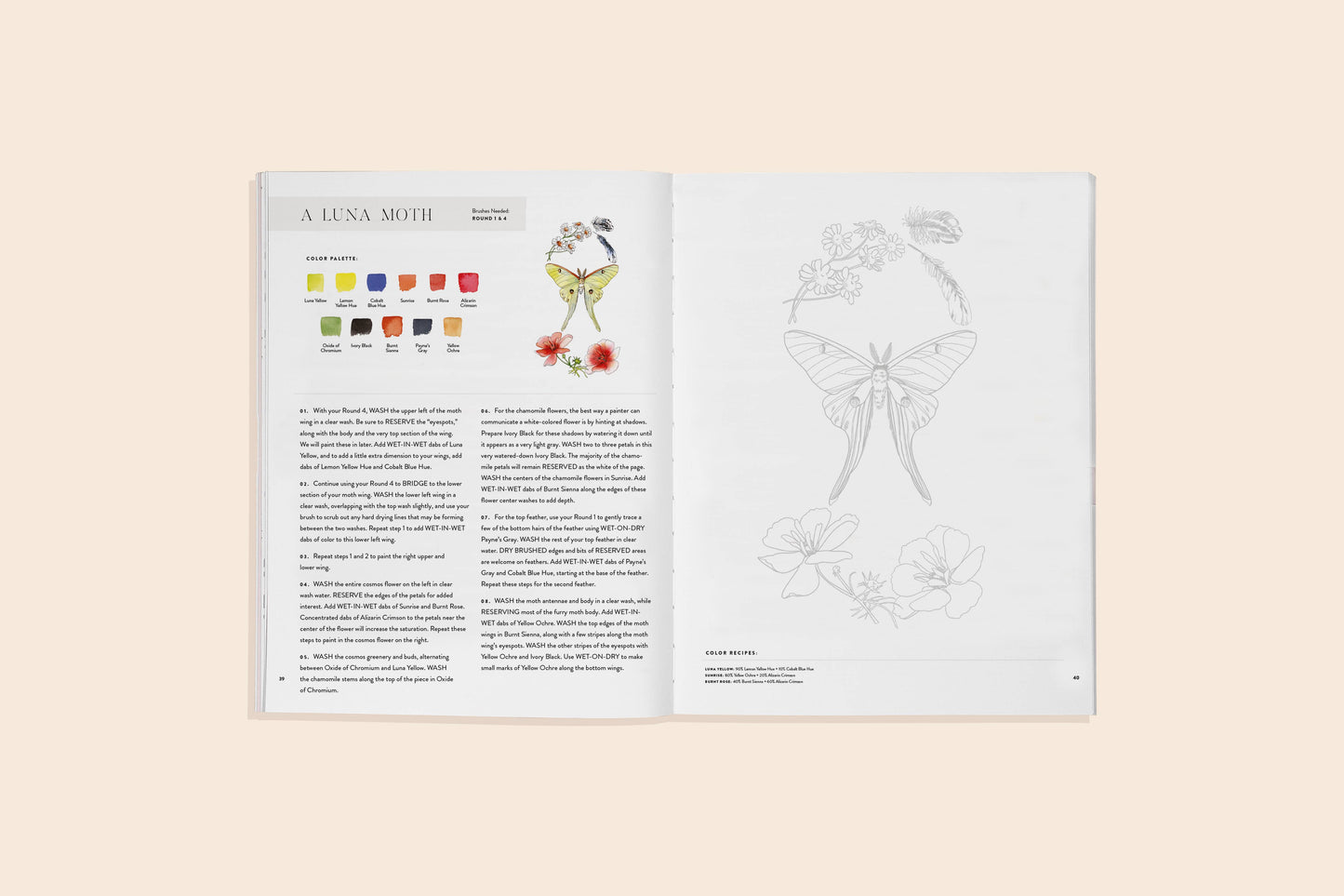 Flowers, Feathers, & Animals Watercolor Workbook
