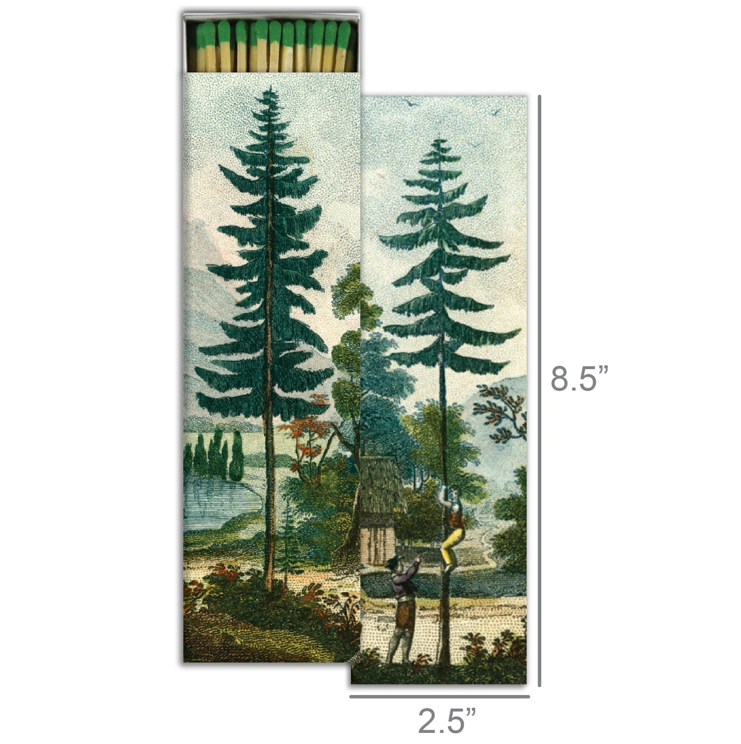 Tall Pines Long Matches