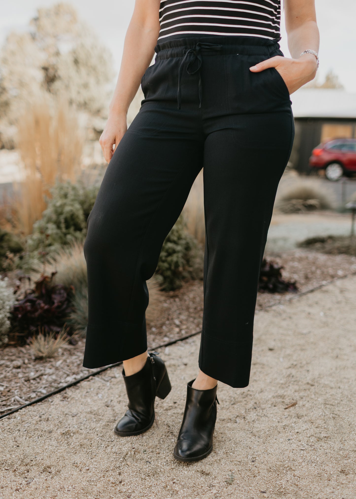 Wide Leg Ankle Pants in Black | Liverpool
