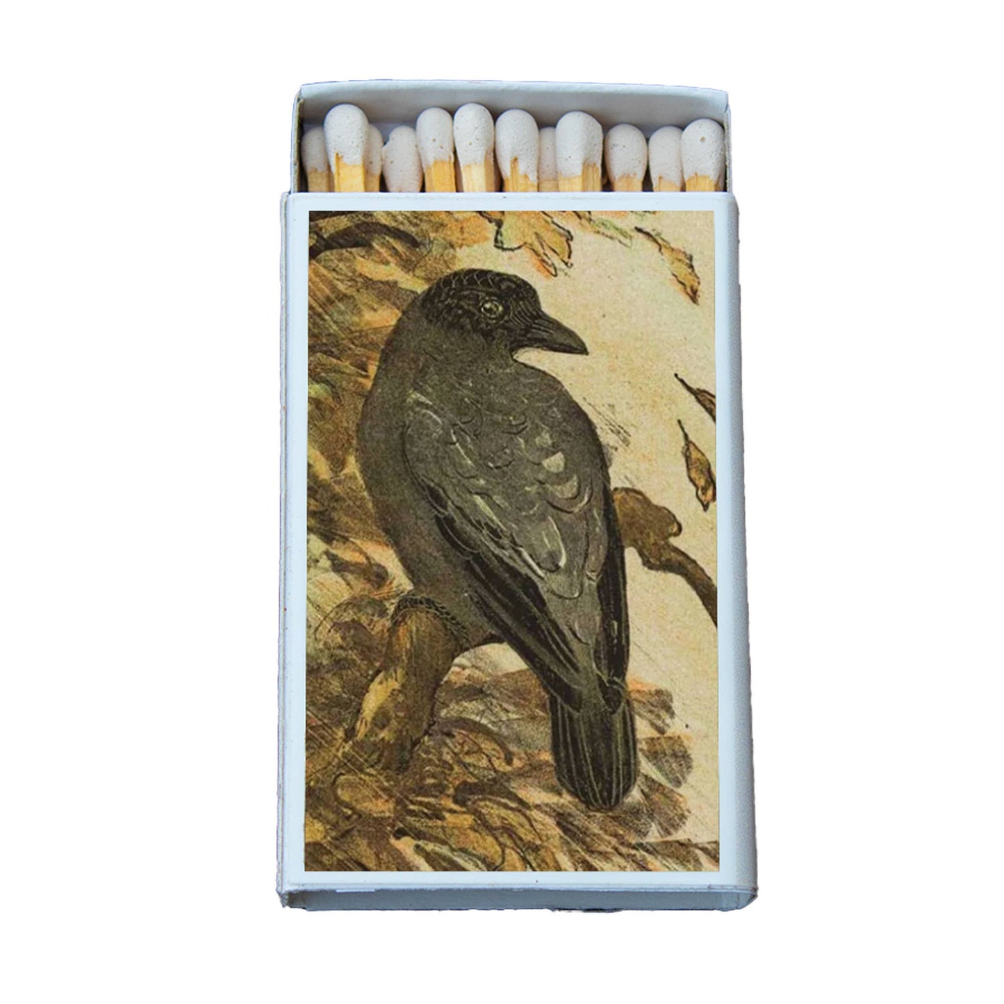 Crow on a Branch Matches