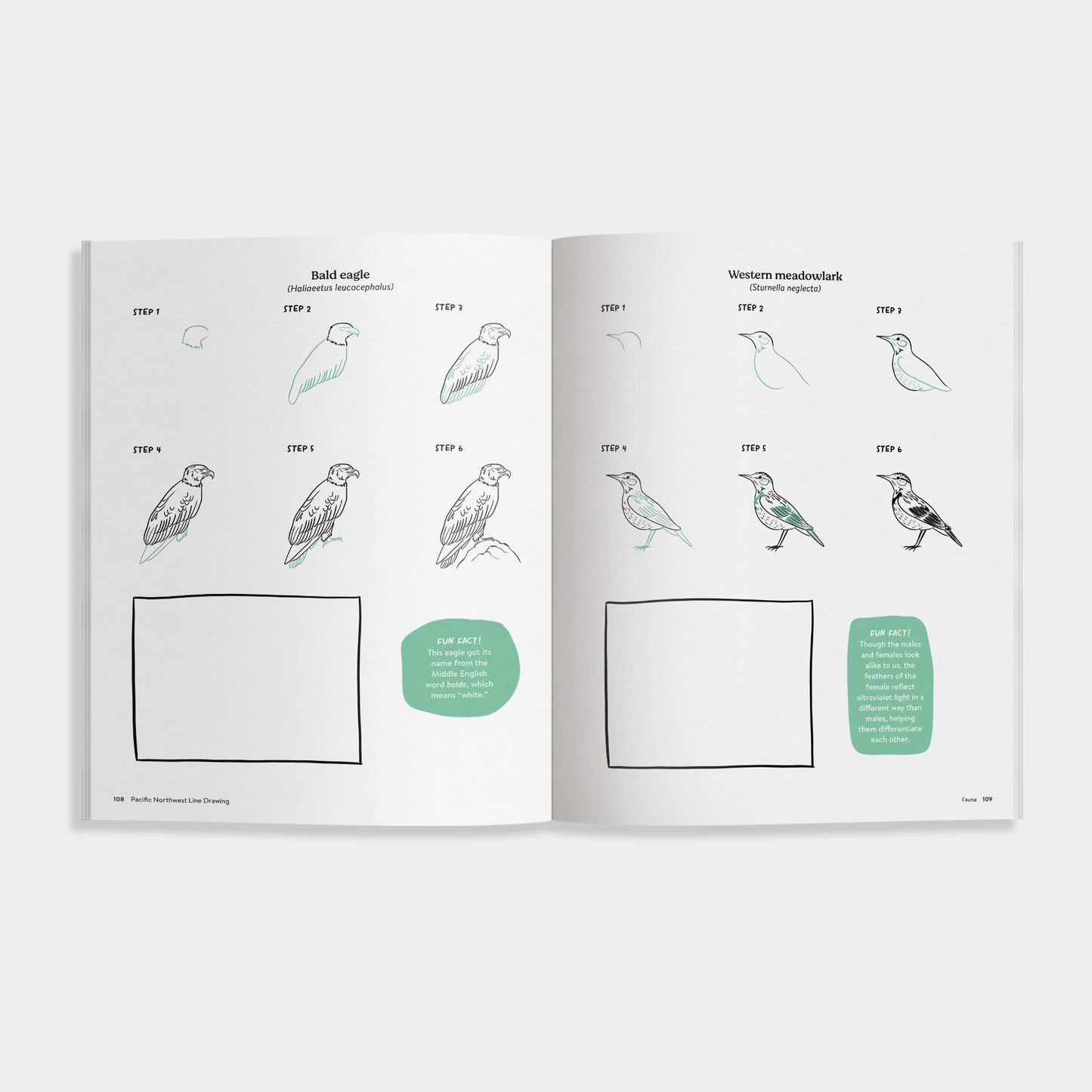 PNW How to Draw Book (Trees, Flowers and More)