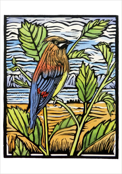 Molly Hashimoto: Birds Boxed Cards