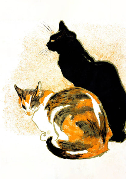 Black Cats Boxed Cards