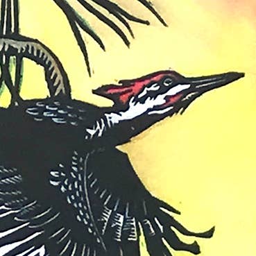 Pileated Woodpecker - Focus Card