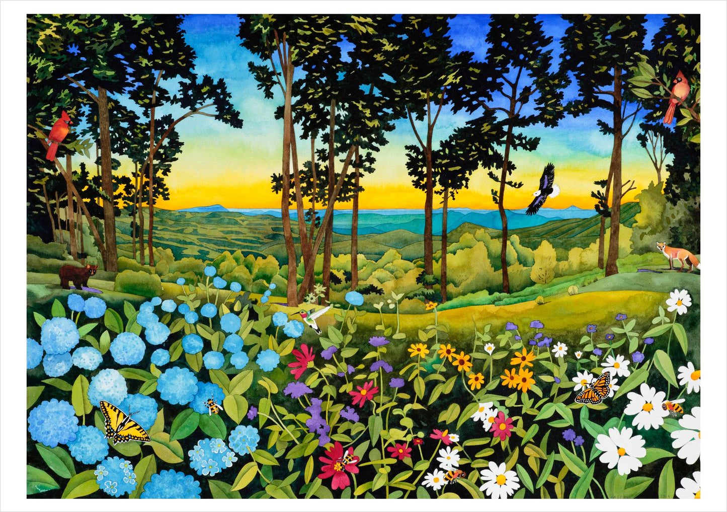 Billy Hassell: In the Wild Boxed Cards