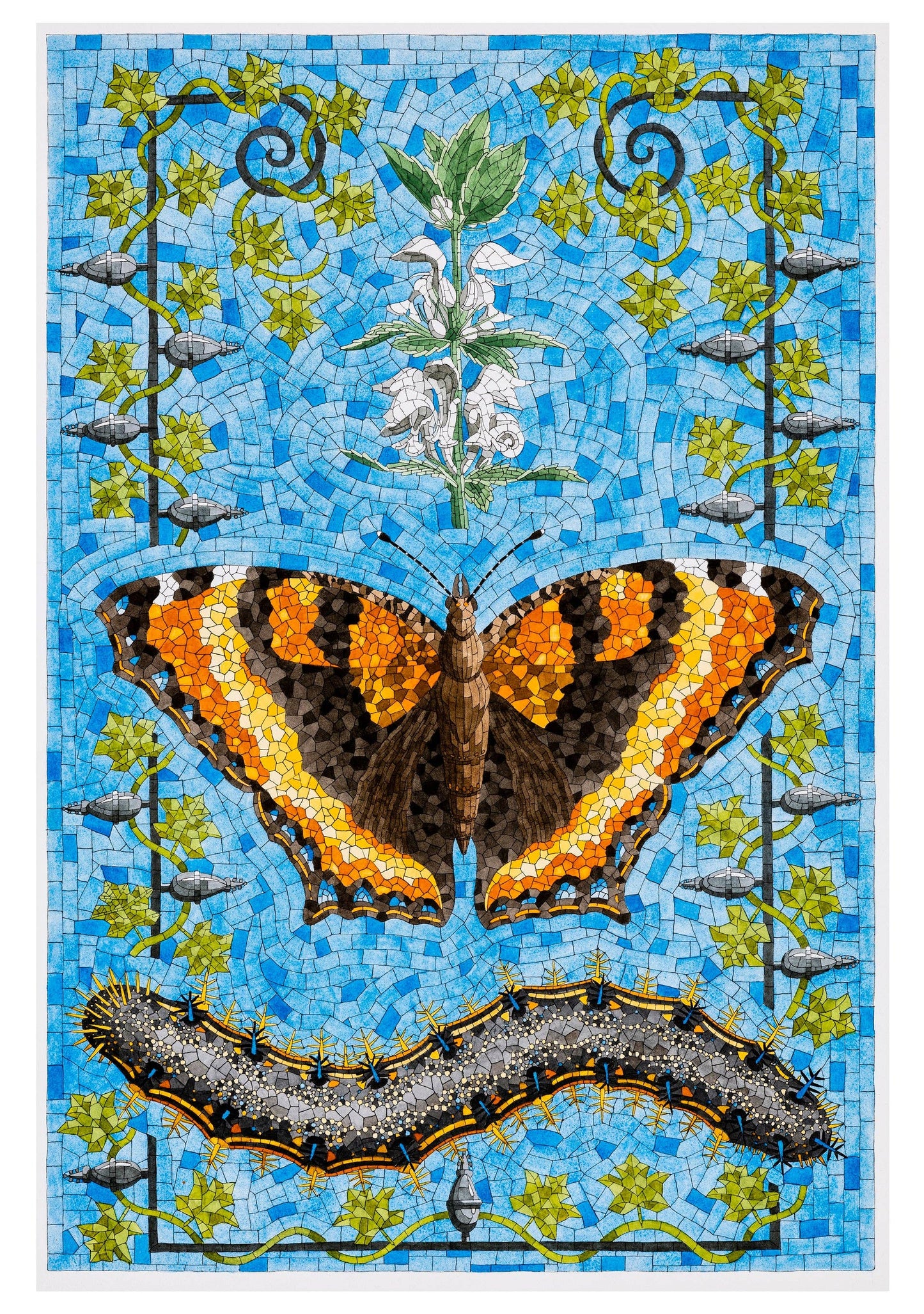 David Cohen: Butterflies Boxed Cards