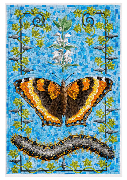 David Cohen: Butterflies Boxed Cards