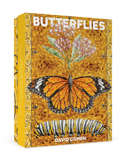 David Cohen: Butterflies Boxed Cards