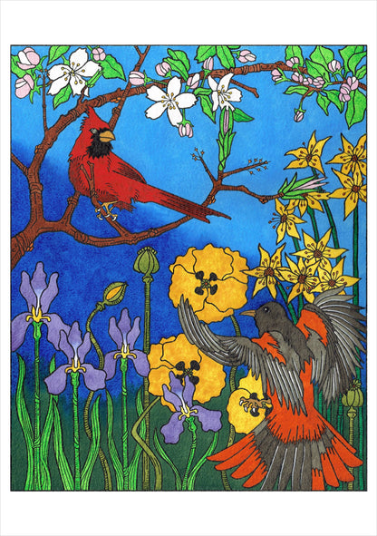 CJ Hurley: Birds Boxed Cards