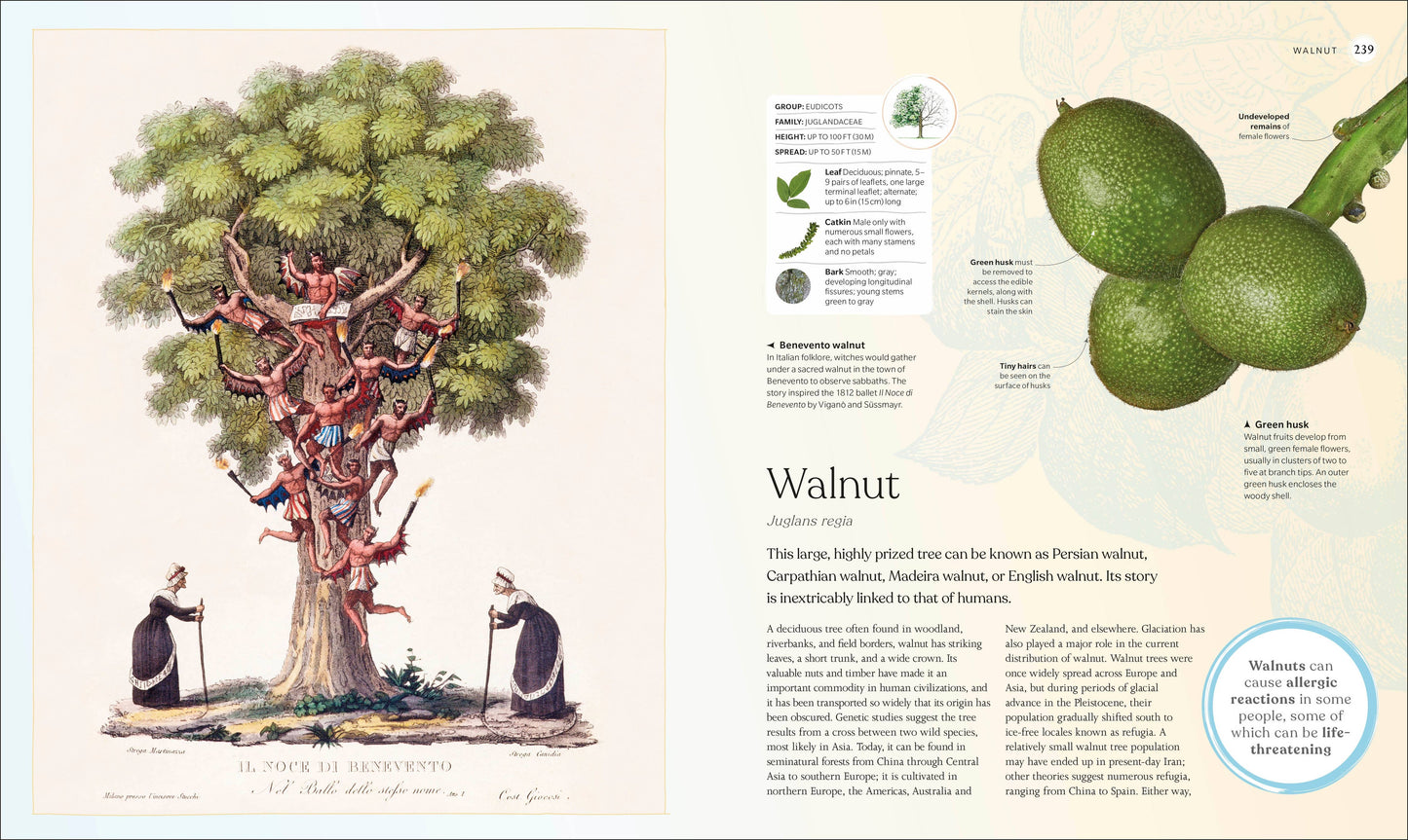 The Tree Book: The Stories, Science, and History of Trees