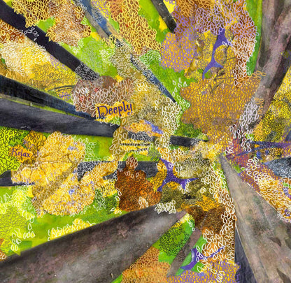 Canopy Greeting Card