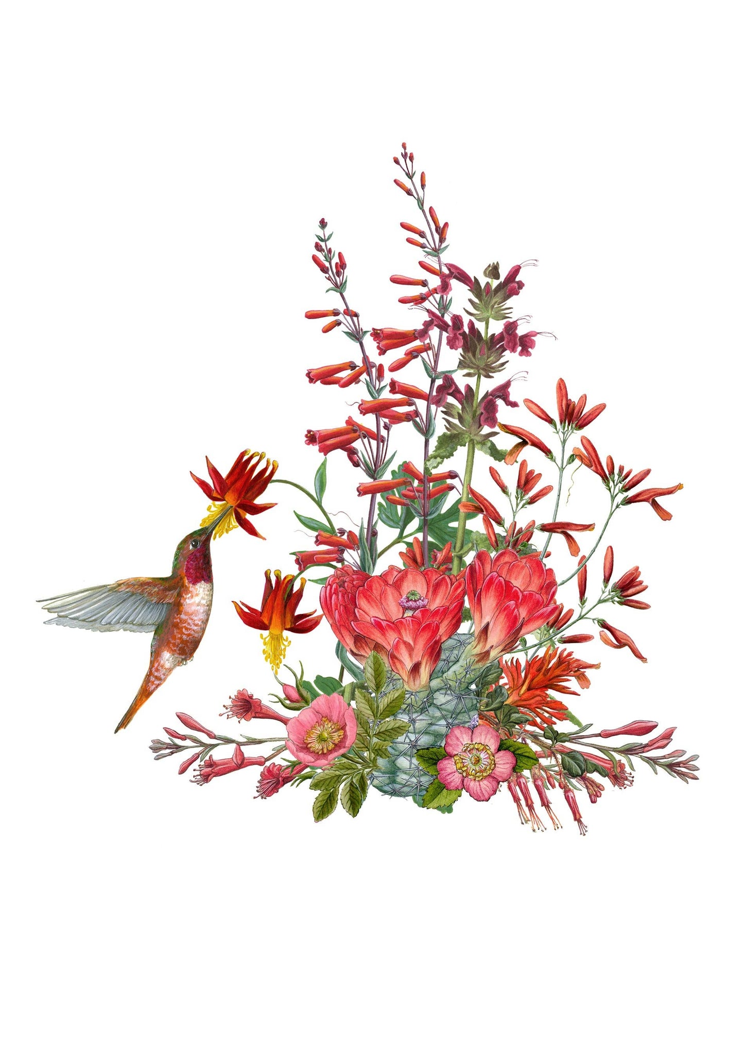 Pollinators Boxed Notecards