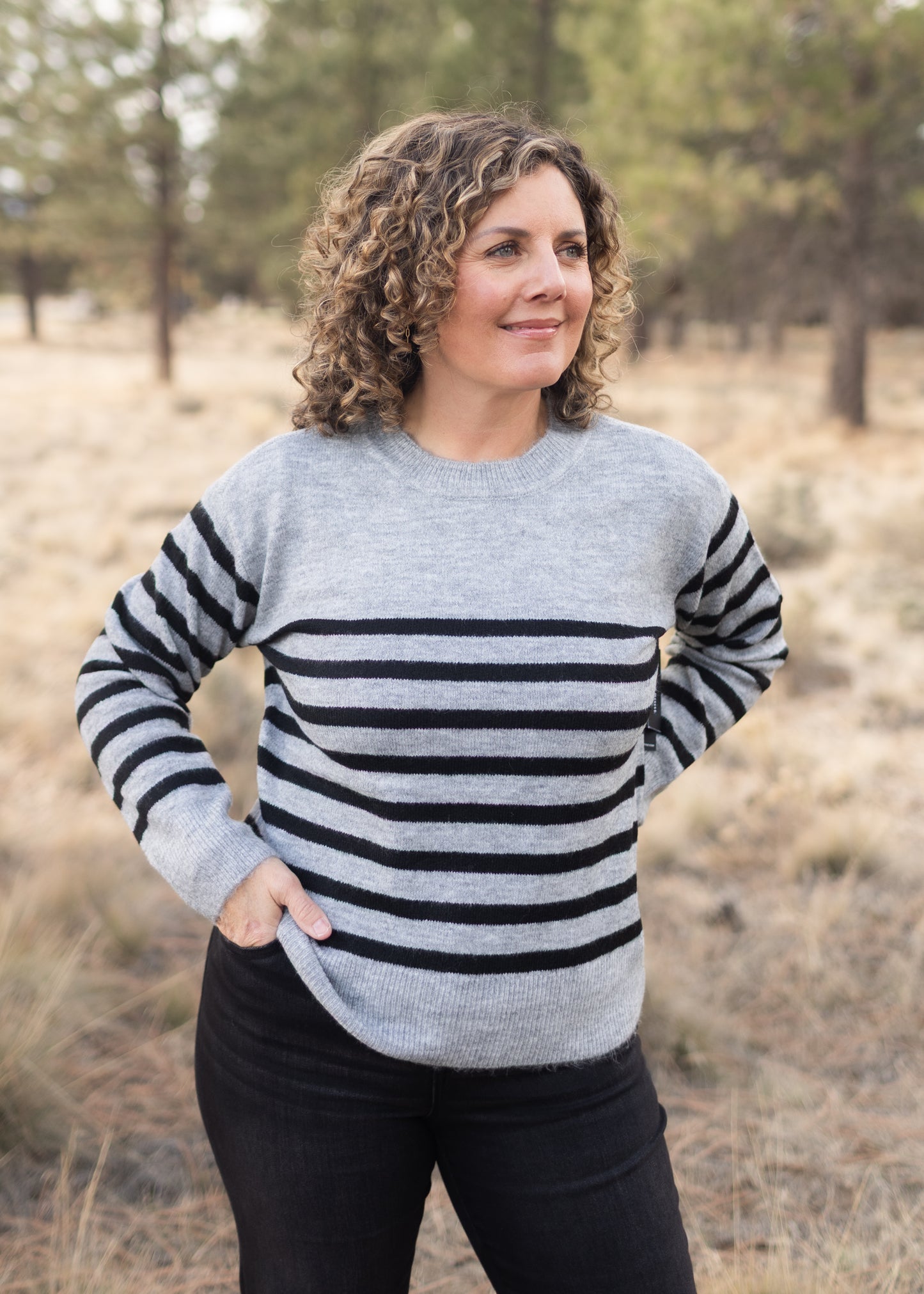 Crew Sweater in Grey Stripe | Liverpool