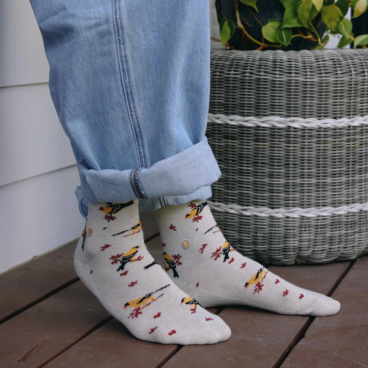 Socks that Protect Goldfinches