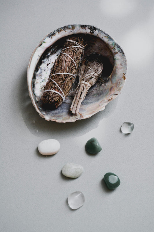 Abalone Smudge Shell