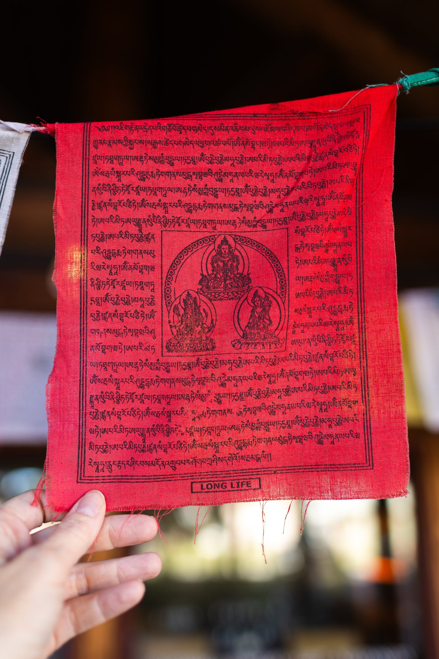 Tibetan Prayer Flags