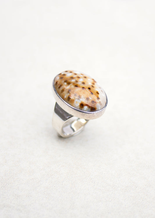 Fossilized Palm Ring | Lee McAllister
