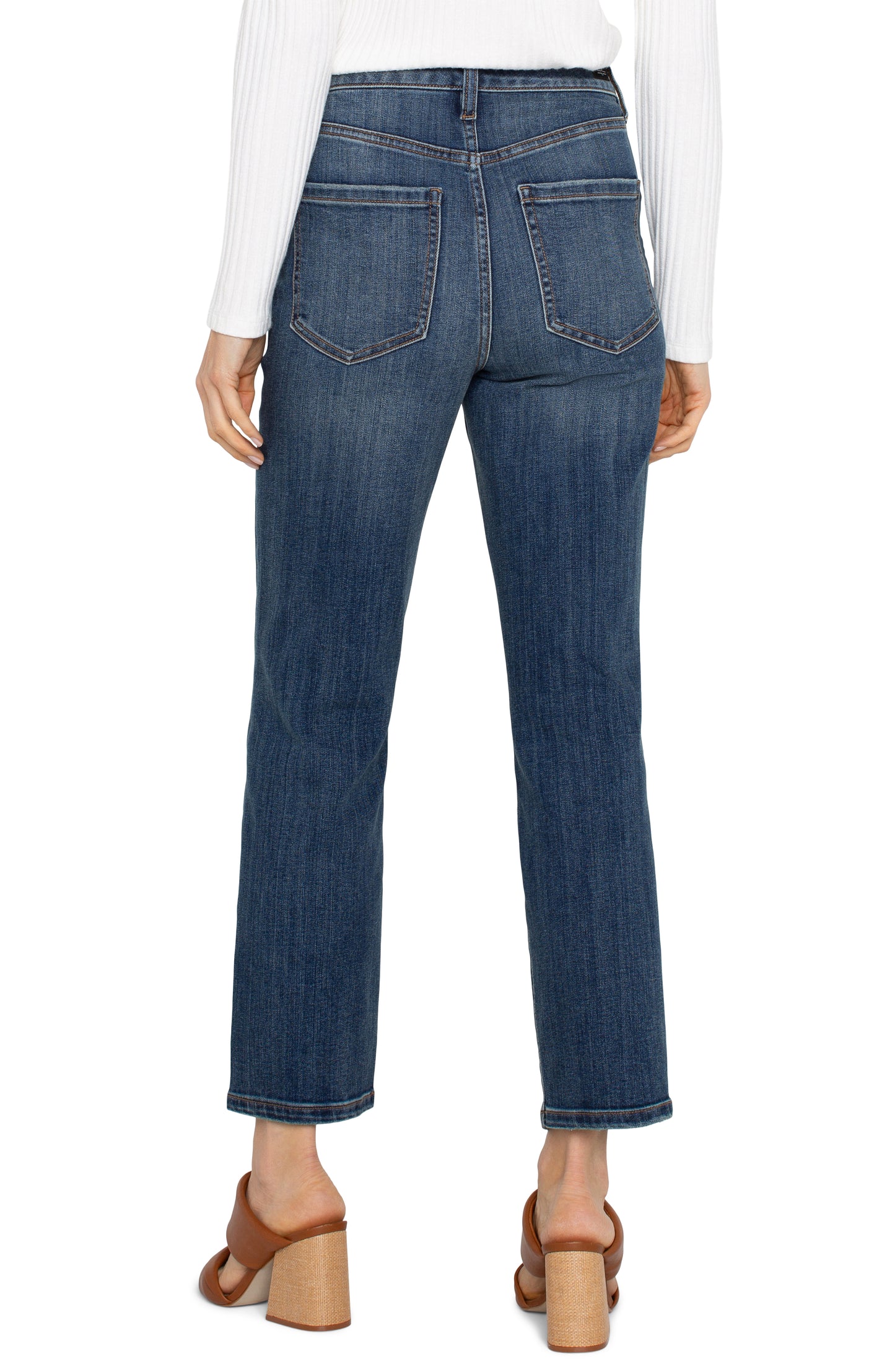 Plus Size High Rise Non-Skinny Skinny Jean in Allentree