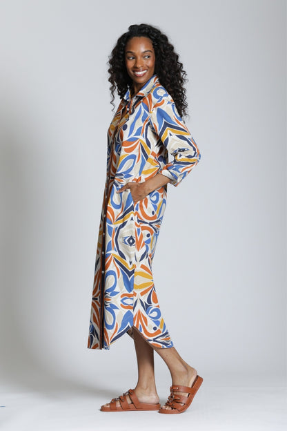 Maxi Cotton Shirt Dress in Blue & Beige | APNY